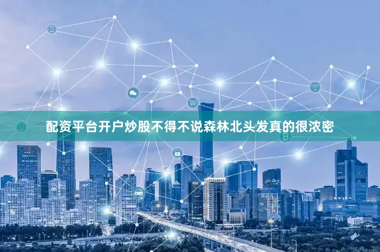 配资平台开户炒股不得不说森林北头发真的很浓密